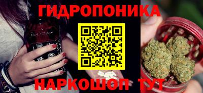 прущие грибы Будённовск