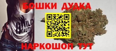 прущие грибы Будённовск