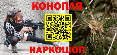 прущие грибы Будённовск