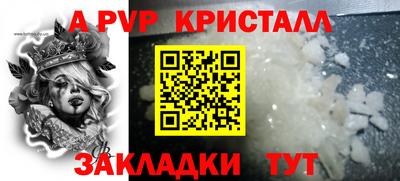 прущие грибы Будённовск