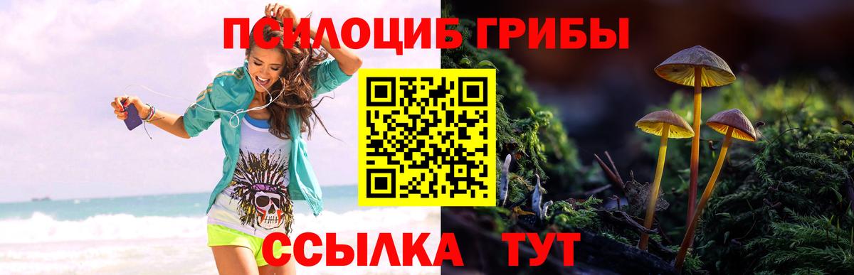 Галлюциногенные грибы мицелий  Вход с VPN  хочу   Галлюциногенные грибы Cubensis  Смоленск 